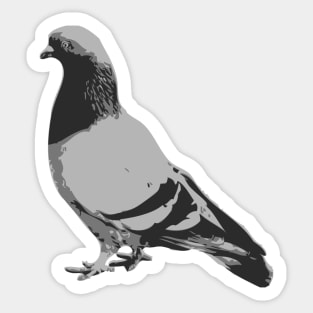 PIGEON Sticker